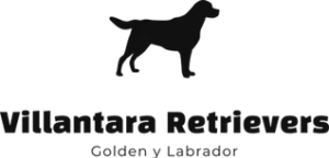 Villantara retrievers