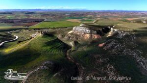 World Dron
