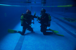 Dsdivers Madrid